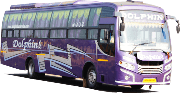 About Dolphin Bus Service